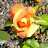 @Lisa-Talks2Much