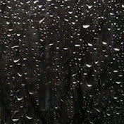 차영진