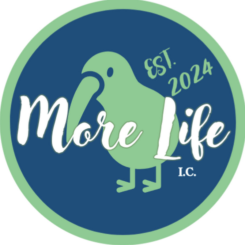 More Life Investment Counsel