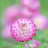 @바라미-u7z