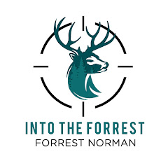 Into the Forrest