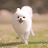 @으내와사랑이