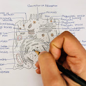 Science study