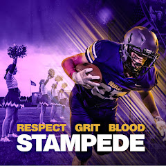 International Falls Broncos Football