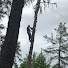 Va90ZM2XN6M-channel-avatar-WOODS MILLER