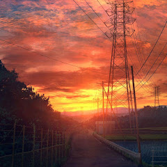 蛋挞 - Topicアイコン画像