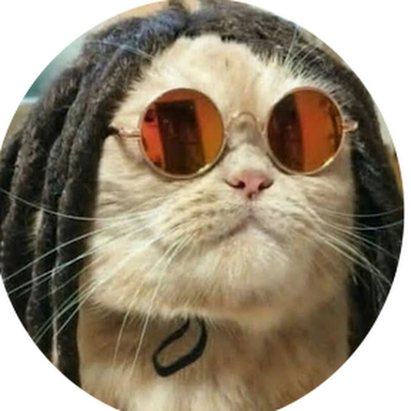 S e M o