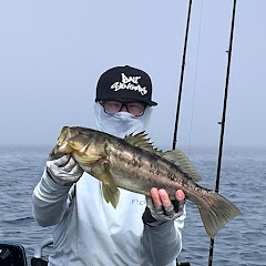 RAD world fishing