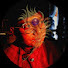 m5sV0sq3Tkw-channel-avatar-Goppo Toppo