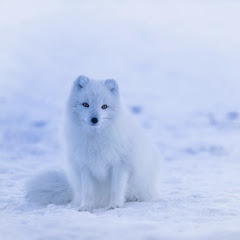 痛快2ちゃん劇場