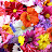 @srihithavlogs2553 Avatar