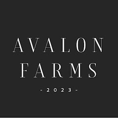 BUILDING AVALON channel logo