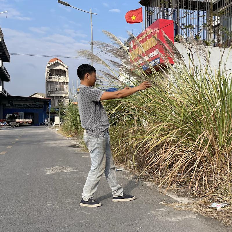 Clean up Mowing sawing trees 86 Logo