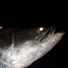 台湾南部で船釣りアイコン画像