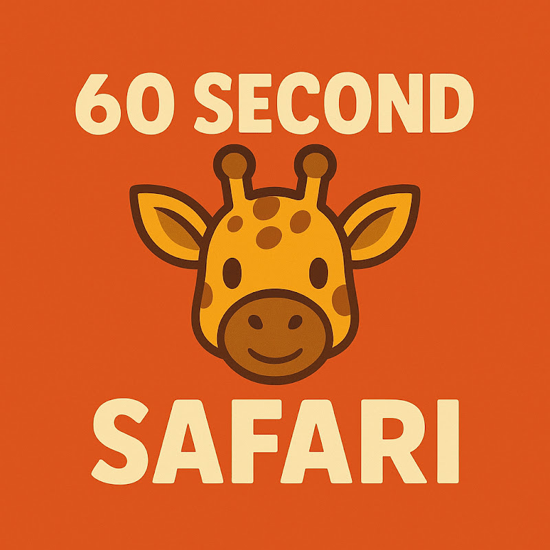 60 Second Safari