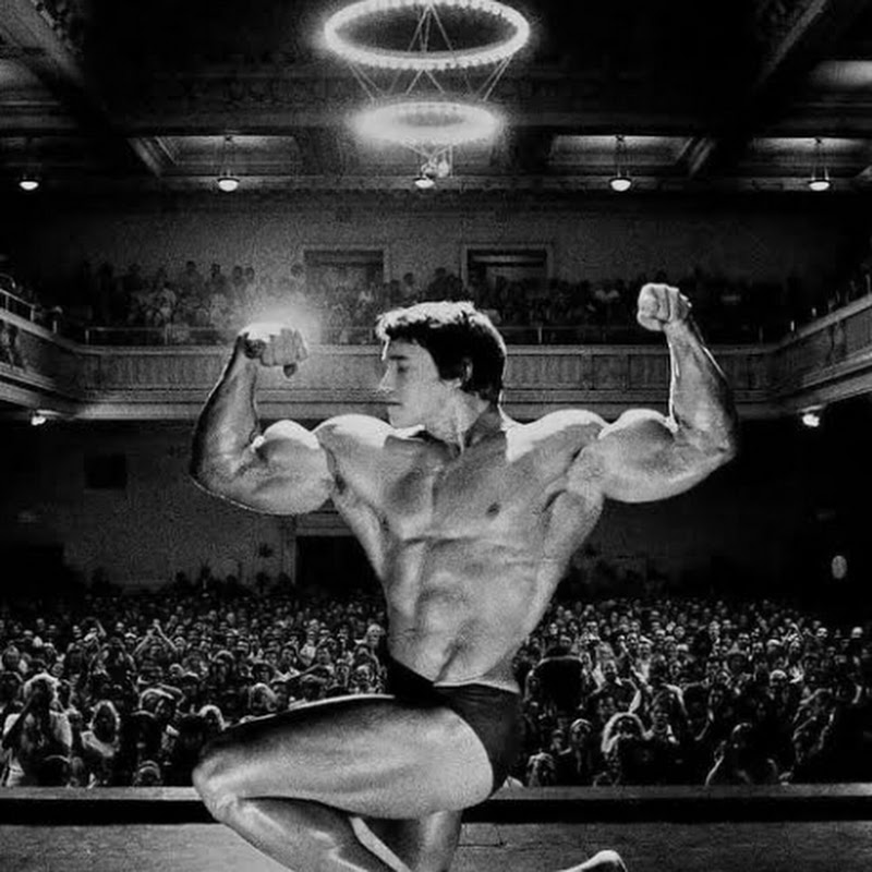 Mr Bodybuilding Beast