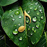 TLs3Ccc2NZM-channel-avatar-ArtPiano
