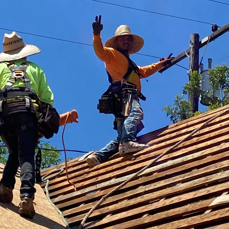 Roofing Solutions by Eric Garcia icon