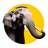 Elephants in Rooms - Ken LaCorte profile