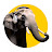 Elephants in Rooms - Ken LaCorte