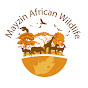 Mayzin African Wildlife logo