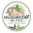 yAo39uNnYqE-channel-avatar-Mushroom Mitra