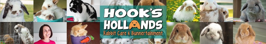 Hook's Hollands - Ohio Holland Lops YouTube channel avatar