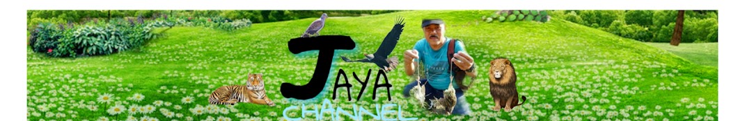 JAYA CHANNEL Avatar canale YouTube 