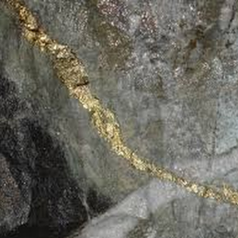 ЗОЛОТА ЖИЛА Logo