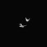 Z8dPZAapUvE-channel-avatar-Cedwood