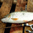 uhnjNDCJJUM-channel-avatar-Dian Boja Fishing Channell