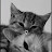@Cheremsha-d9p