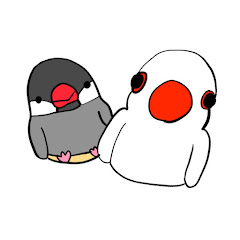 文鳥