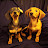 @TheChaweenieBrothers Avatar