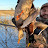 Scotch Double Waterfowl 