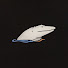 i4LJ4DhS6FY-channel-avatar-Era Solo Un Pez