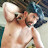 @dilip2344