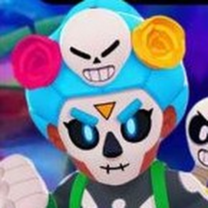 DANHIK BRAWL STARS