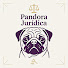 u43DU76Jc-c-channel-avatar-Pandora juridica