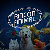 Rincon Animal