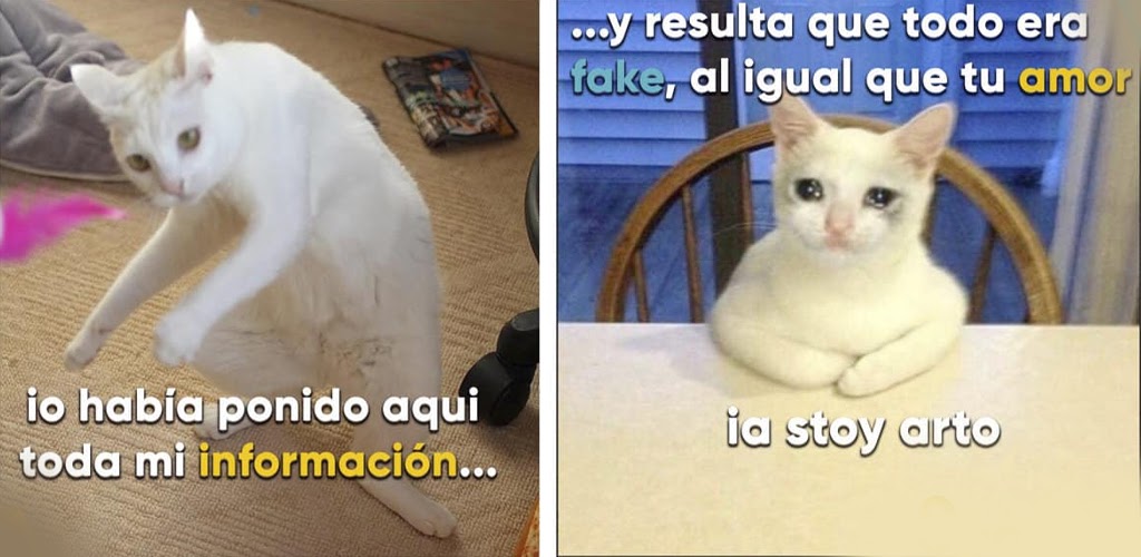 Stickers De Gato Ponido Apk For Android Pedrogames