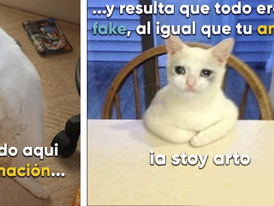 [Meilleure collection] estoy triste meme chat 321044