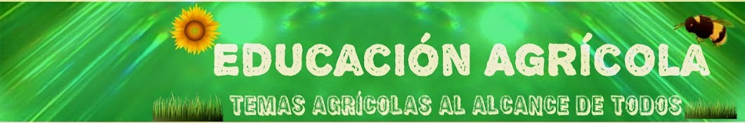 EducacionAgricola YouTube channel avatar