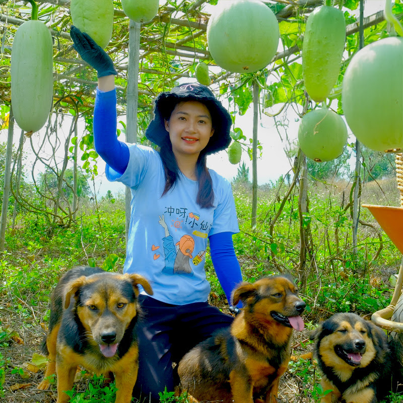 Tieu My's Country Life