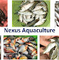 Nexus Aquaculture logo