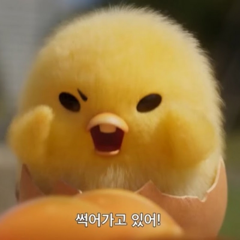 캠핑미녀