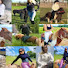 py1lytW3pB8-channel-avatar-Horse Riding 