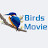 Birds Movie