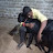 @RajanithiRamu Avatar