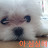 @김유튜브보는중